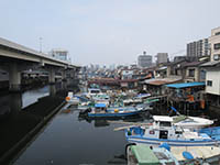 200808子安+漁港19.jpeg